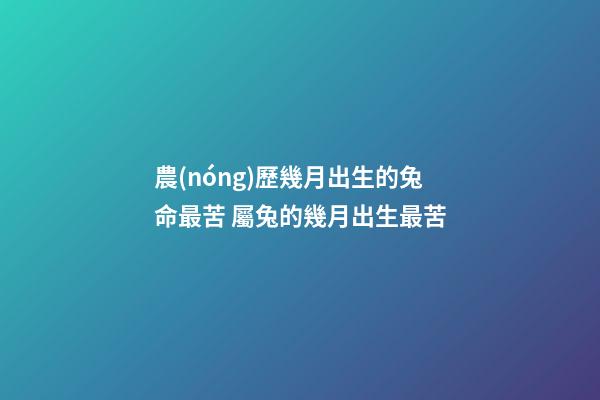 農(nóng)歷幾月出生的兔命最苦 屬兔的幾月出生最苦-第1張-觀點(diǎn)-玄機(jī)派